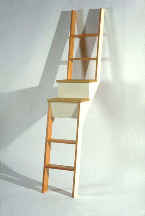 Stair Ladder