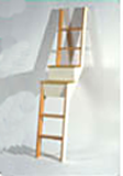 Stair Ladder